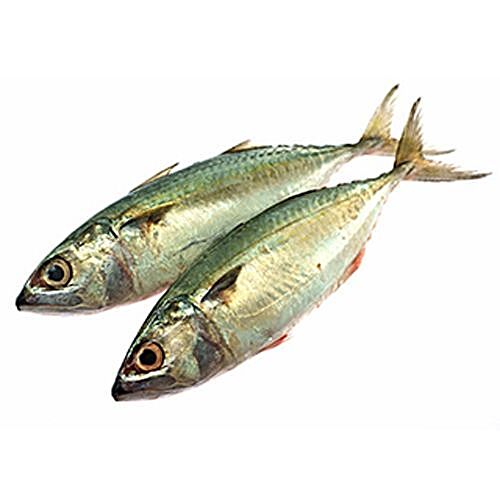 buy-fish-land-fish-mackerel-aiyla-ailai-bangude-bangda-1-kg