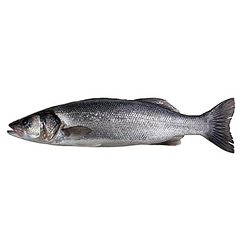 Buy Fresh Catch Fish - Baramundi / Kalanchi / Sea Bass 1 kg (Curry Cut ...