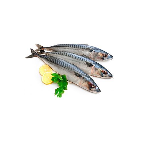 Mackerel Fish - Large, Whole Cleaned, Preservative Free, 3-4 pcs