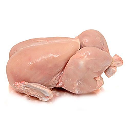 Whole Chicken Broiler