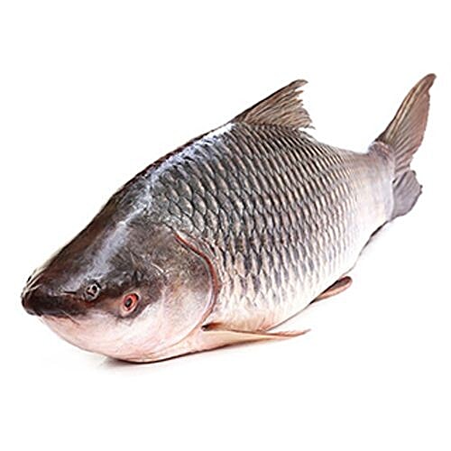 cost of rohu fish per kg