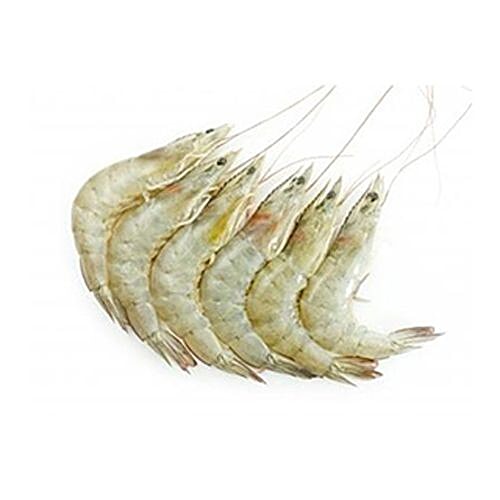 buy-me-fresh-prawns-white-small-1-kg-just-cleaned-online-at-best