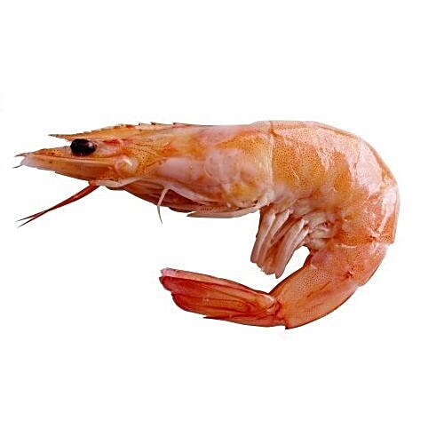 prawn fish