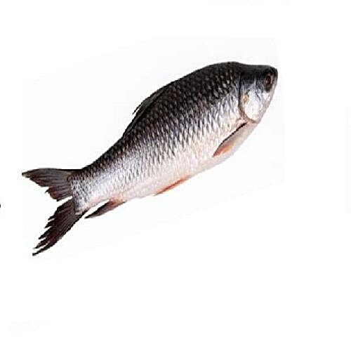 rate of rohu fish