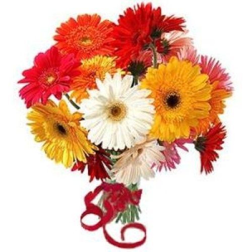 Buy Blooms & Bouquet Flower Bouquet - 10 Charming Gerberas Online at Best  Price of Rs 264 - bigbasket