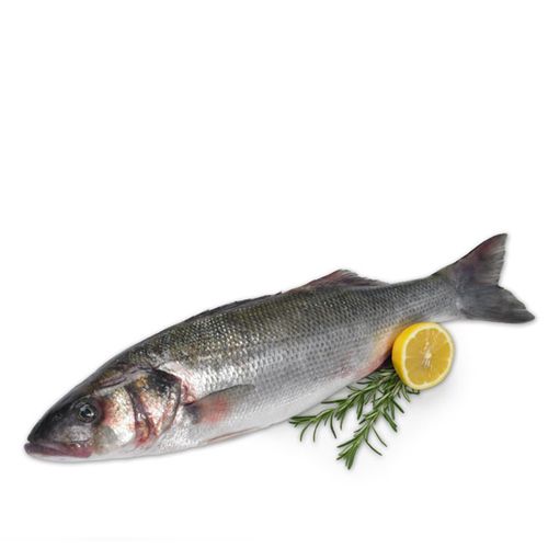 Buy Bass Fish Wood Online In India -  India