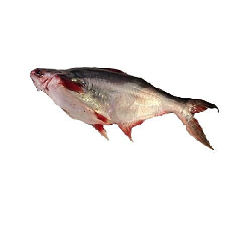 Buy Sai Foods Fresh Indian Basa/Seelan Fish - Fillets Online at Best ...