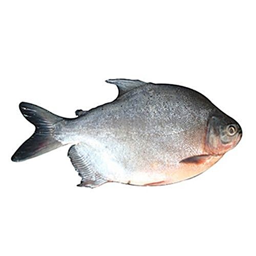 chand pomfret