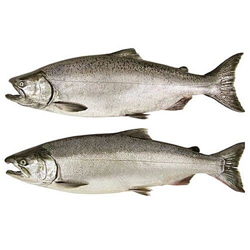 Buy Meaty Fish - Indian Salmon 1 kg (Thick Steaks) Online at Best Price ...