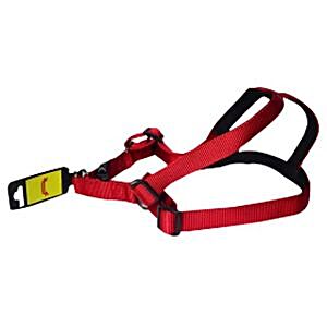 Buy Vama Leathers Cotton Leash - Long & Short Handle, For Giant & Extra  Large Dogs, Racing Red Online at Best Price of Rs 390 - bigbasket
