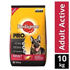 pedigree active adult