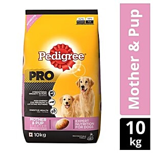 pedigree mini starter