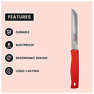 https://www.bigbasket.com/media/uploads/p/m/40138673-2_3-fackelmann-pvc-handle-vegetable-knife.jpg