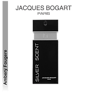 Parfum outlet silver scent