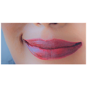 lakme enrich matte lipstick shade bm12