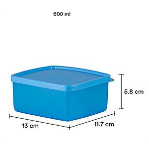 Buy Polyset Magic Seal Storage Containers - Plastic, Square, Royal Blue,  High Quality, Sturdy Online at Best Price of Rs 275 - bigbasket