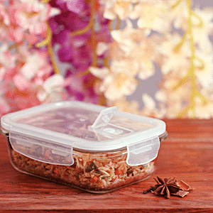 Borosilicate Glass Container With Air Vent, Microwave Safe With
