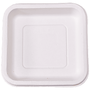 Square 2024 plates disposable