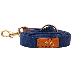 Buy Louis Vuitton Dog Collar and Leash Online In India -  India