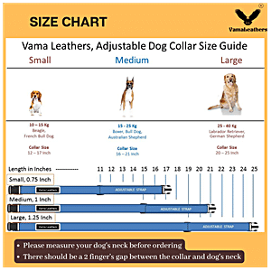 Strong Leathers for Strong Dogs – Vama Leathers