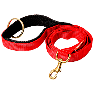 Buy Vama Leathers Dog Training Slip Leash - Heavy Duty Rope, Brass Ring, 1  cm x 5 Feet, Brown Online at Best Price of Rs 260 - bigbasket