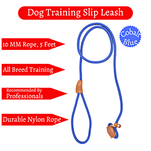 Buy Vama Leathers Dog Training Slip Leash - Heavy Duty Rope, Brass Ring, 1  cm x 5 Feet, Brown Online at Best Price of Rs 260 - bigbasket