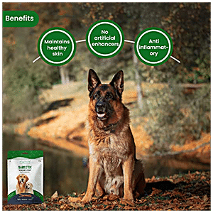 Best dog treats top for training german shepherd