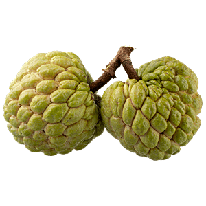 Buy Fresho Custard Apple 1 Kg Online At The Best Price Of Rs 141.59 ...