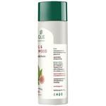 Buy Biotique Bio Basil Sandalwood Refreshing Body Powder 150