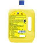 Buy Lizol Disinfectant Surface Cleaner - Citrus 2 L + Floor Cleaner -  Lavender 2 L Combo (2 Items) Online at Best Price. of Rs 801.84 - bigbasket