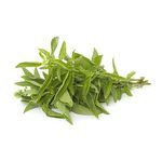 Buy Fresho Basil Italian 1 Kg Online At Best Price of Rs 261.34