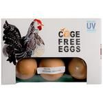 Buy Fresho Farm Eggs - Jumbo, Large, Antibiotic Residue-Free Online at Best  Price of Rs 99 - bigbasket