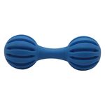 Buy DP Pet Chew/Toy Dumble Shape - Music Rubber Dog, Blue Online at ...