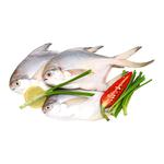 Buy Fresho! White Pomfret Whole - B Online At Best Price Of Rs 650 ...