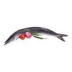 Buy Fresho Sea Bass Whole - B Online At Best Price Of Rs 899 - Bigbasket