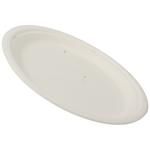 Buy Arham Bio-Degradable Disposable Plates - 25cm, Eco Friendly, Durable  Online at Best Price of Rs 210 - bigbasket