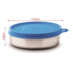 Buy Signoraware Executive Steel Container - Airtight, Small Online at ...