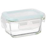 Buy Signoraware Borosilicate Glass Food/Tiffin/Storage Container - With ...