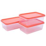 Buy Unica Flamante Rectangular Containers Set - Durable, Storage Boxes ...