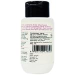 Buy Plum Onion & Biotin Hair Fall Control Shampoo - Reduces Breakage ...