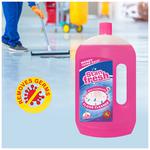 Buy Stanfresh Multi Surface Floor Cleaner Kills 99 9 Germs Rose World Online At Best Price