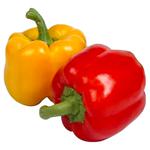 Buy fresho! Coloured Capsicum Mix Online at Best Price of Rs 71 - bigbasket