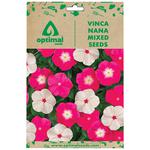 Buy Optimal Seeds Vinca Nana Mixed Flower Seeds Online at Best Price of ...