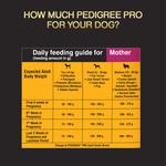 Buy Pedigree PRO Mother & Pup Starter Small Breed - Dry Dog Food, For ...