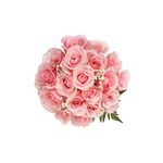 Buy Suraj Florist Flower Bouquet 20 Pink Roses Bunch 1 Pc Gilitine ...