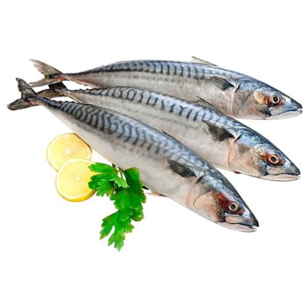 Buy fresho! Mackerel Fish Large - 4-6 pcs /kg, Whole Cleaned 2pcs ...