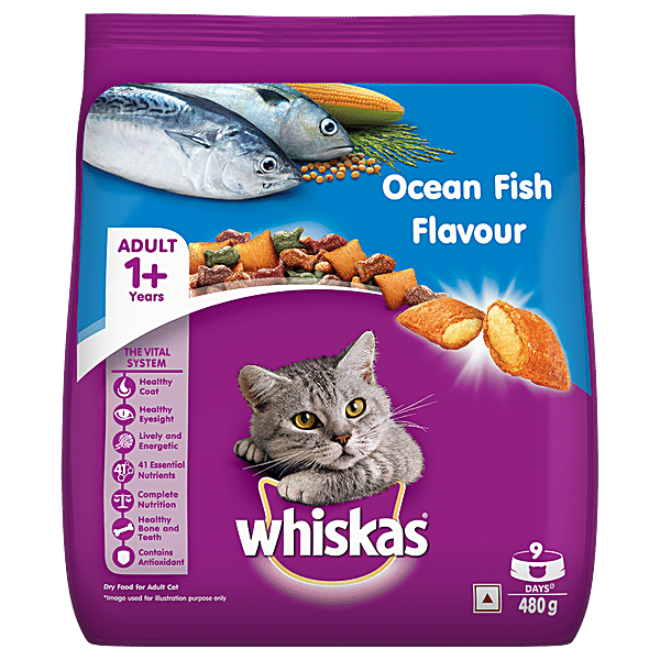 Is fish flavored cat shop food bad for cats