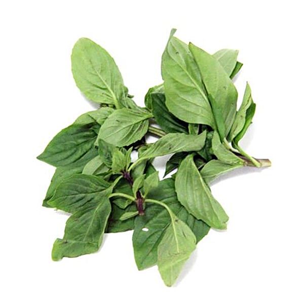 Fresho Thai Sweet Basil 1 kg