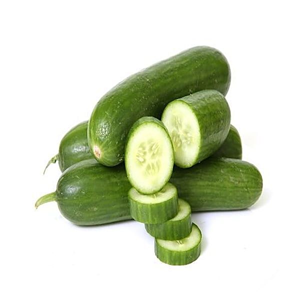 https://www.bigbasket.com/media/uploads/p/xl/40018523_4-fresho-cucumber-english.jpg