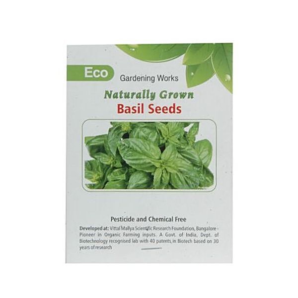 Buy Eco Naturally Grown Italian Basil Seeds 25 Seeds Pouch